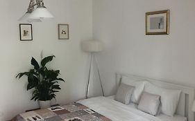 Marcy Studio